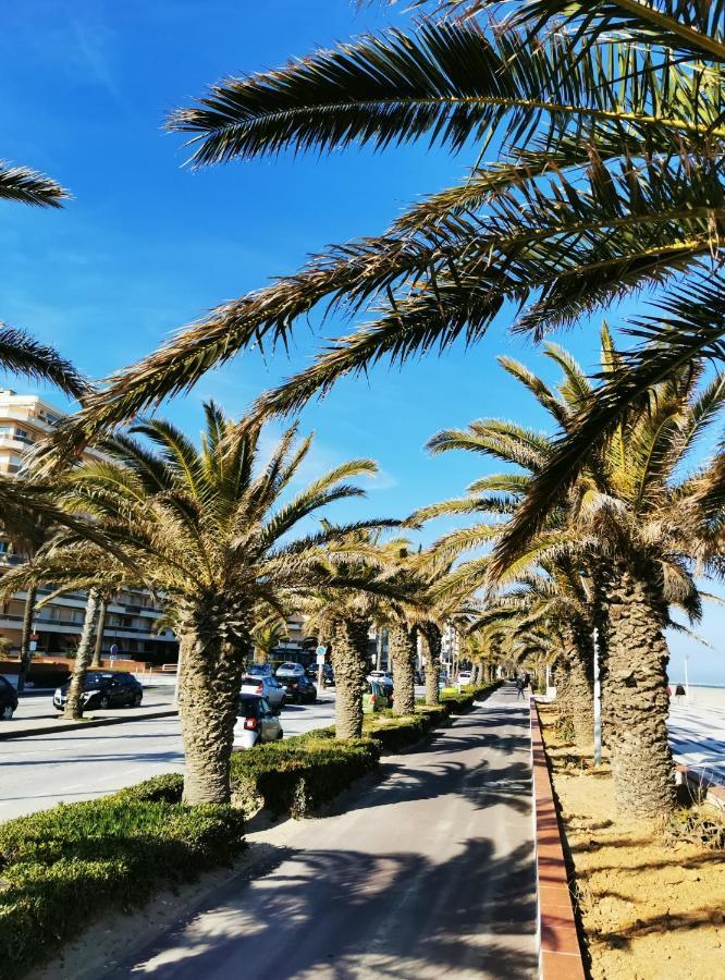 Vue Mer. Calme Et Idealement Situe Apartment Canet-en-Roussillon