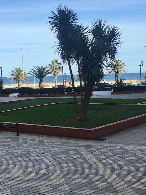 Vue Mer. Calme Et Idealement Situe Appartement *